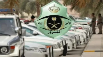 2283 مركبة تُسجل انتهاكًا لحقوق ذوي الإعاقة بيانات المرور تكشف حجم المخالفات 1